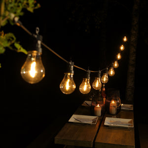 10 Battery Operated Edison Festoon Lights