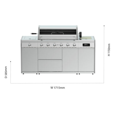 Island 6 Burner Barbecue (With SmartGrill Technology)