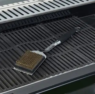 Cleaning Brush